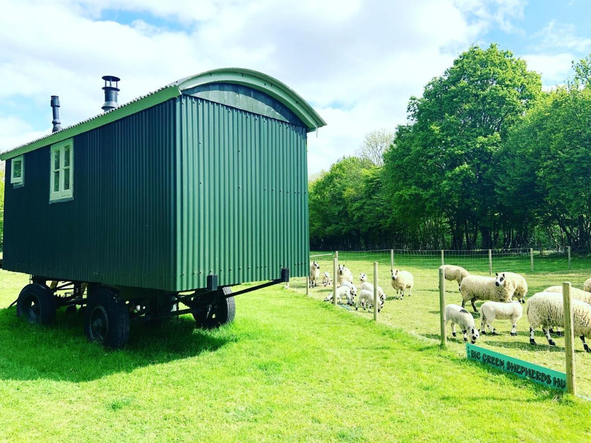 The Big Green Shepherds Hut Charlwood Exterior foto
