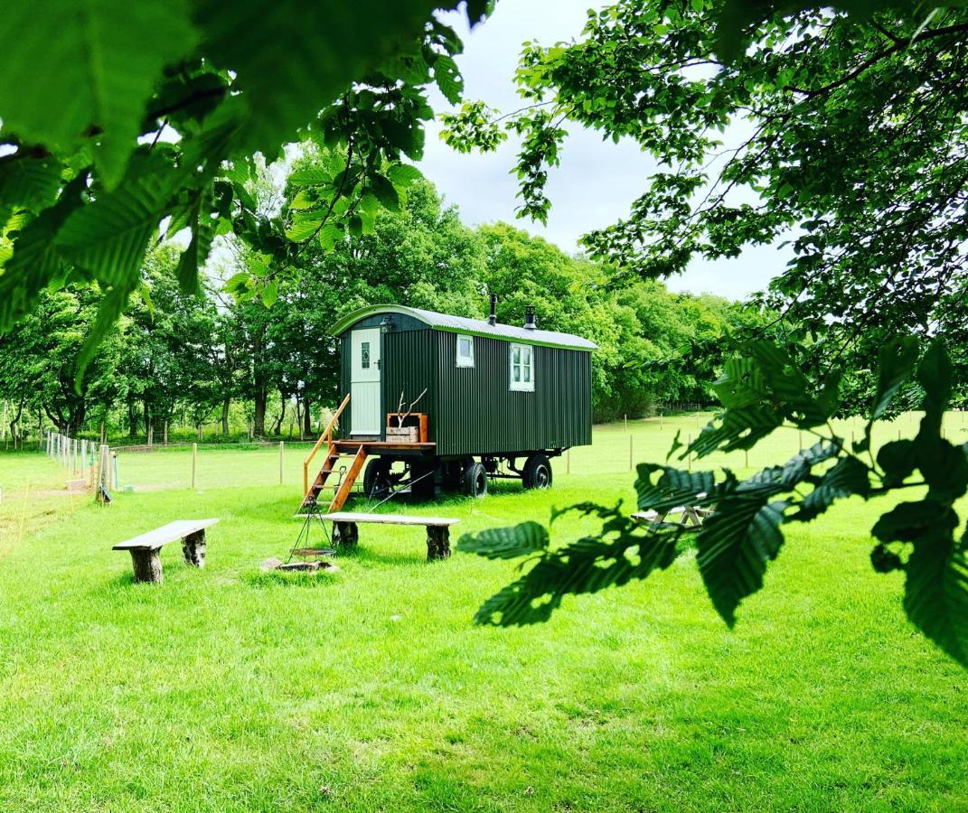 The Big Green Shepherds Hut Charlwood Exterior foto